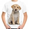 Koszulka z psem labradorem szczeniakiem dziecięca rasy labrador z nadrukiem motywem psa labradora