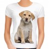 Koszulka z psem labradorem szczeniakiem damska z motywem nadrukiem pies rasy labrador