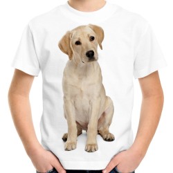 Koszulka z psem labradorem  dziecięca rasy labrador z nadrukiem motywem psa labradora