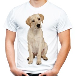 Koszulka z psem labradorem  męska z nadrukiem motywem grafika psa rasy labrador na prezent