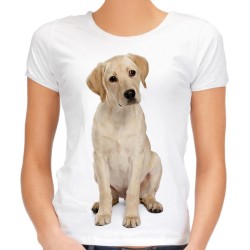 Koszulka z psem labradorem damsja z nadrukiem grafika motywem psa labradora