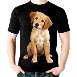 Koszulka z labradorem psem rasy labrador dziecięca z nadrukiem motywem grafiką labradora t-shirt