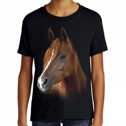 Koszulka dziecięca z koniem koszulka dla dziecka z koniem t-shirt