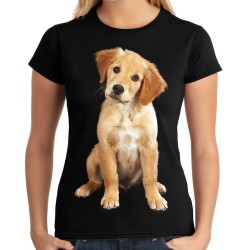 Koszulka z labradorem psem rasy labrador damska z nadrukiem motywem grafiką psa labradora