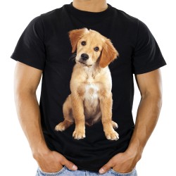 Koszulka z labradorem psem rasy labrador męska z nadrukiem motywem grafika psa labradora