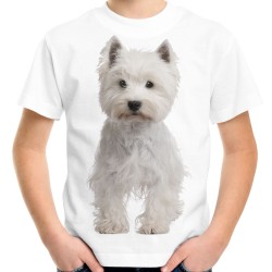 Koszulka z psem West highland white terrier dziecięca z nadrukiem motywem grafika psa na prezent