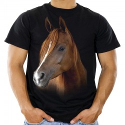 koszulka męska z koniem koszulki z koniem cavaliada na prezent