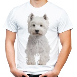 Koszulka męska z psem West highland white terrier na prezent z grafiką motywem nadrukiem psa