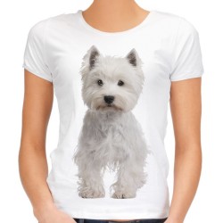 Koszulka damska z psem West highland white terrier z nadrukiem motywem grafika psa