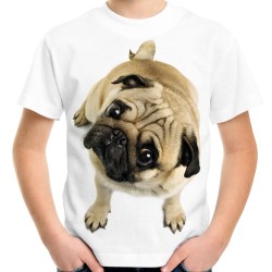 koszulka z mopsem dziecięca pies rasy mops dla miłośników mopsów na prezent z grafiką nadrukiem motywem mopsa pug
