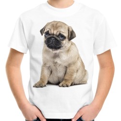Koszulka z mopsem psem dziecięca t-shirt mops dla dziecka z nadrukiem motywem grafiką mopsa
