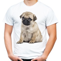 Koszulka z mopsem psem męska t-shirt mops z grafiką motywem nadrukiem psa mopsa szczeniakiem małym mopsem