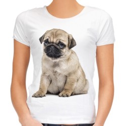 Koszulka z mopsem psem damska na prezent dla kobiety koszulka z nadrukiem motywem grafiką psa mopsa mops