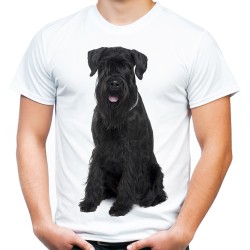 Koszulka pies sznaucer olbrzym brodacz monachijski męska koszulka z psem sznaucerem t-shirt
