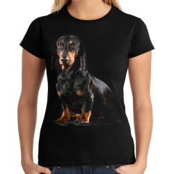 Koszulka z psem jamnikiem krótkowłosym damska z nadrukiem motywem grafika jamnika na prezent pies rasy jamnik