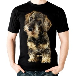 Koszulka z psem jamnikiem szorstkowłosym  dziecięca z nadrukiem motywem grafika psa jamnika na prezent