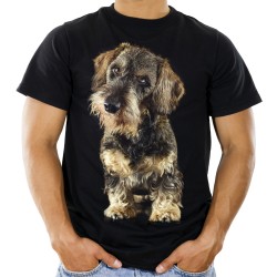 Koszulka z psem jamnikiem szorstkowłosym męska z nadrukiem motywem grafika psa jamnika na prezent