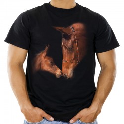 koszulka z koniem koszulki z koniem cavaliada t-shirt męski