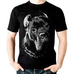 Koszulka z psem Mastif Cane Corso dziecięca t-shirt z grafiką nadrukiem motywem pies mastif t-shirt