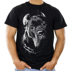 Koszulka z psem Mastif Cane Corso męska z nadrukiem motywem grafika pies rasy t-shirt