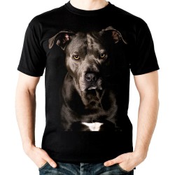 Koszulka z psem Amstaffem Amerykański Staffordshire terrier Amstaff dziecięca z amstafem nadrukiem grafiką psa rasy amstaf
