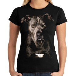 Koszulka z psem Amstaffem Amerykański Staffordshire terrier Amstaff damska z amstafem amstaf