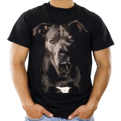 Koszulka z psem Amstaffem Amerykański Staffordshire terrier Amstaff męska amstafem terierem amstaf terier terrierem