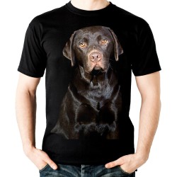 Koszulka z Labradorem Retriever czekoladowym dziecięca pies rasy labrador na koszulce t-shirt