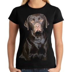 Koszulka z Labradorem Retriever czekoladowym damska z nadrukiem motywem pies rasy labrador  czekoladowy t-shirt