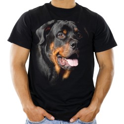 koszulka z Rottweilerem psem męska z nadrukiem motywem grafiką pies rasy rottweiler głowa