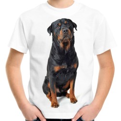 Koszulka z psem Rottweilerem dziecięca z nadrukiem pies rasy rottweiler na prezent t-shirt