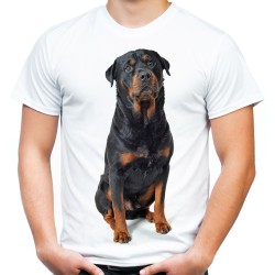 Koszulka z psem Rottweilerem męska pies rasy rottweiler na koszulce