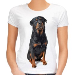 Koszulka z psem Rottweilerem damska z nadrukiem motywem grafika pies rasy rottweiler t-shirt
