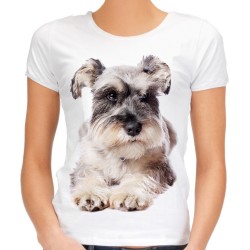 Koszulka z psem sznaucerem damska z grafiką nadrukiem motywem psa sznaucera rasy sznaucer t-shirt