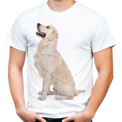 Koszulka z psem Golden Retriever Labradorem męska  z motywem nadrukiem grafiką labrador pies rasy retriverem t-shirt