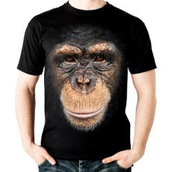 Koszulka z szympansem głową małpy dziecięca z grafika nadrukiem motywem szympans homo sapiens małpa szympansa t-shirt małpa