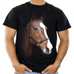 koszulka z koniem koszulka dziecięca z koniem nadrukiem konia