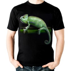 Koszulka dziecięca z kameleonem z nadrukiem motywem grafiką gad kameleon t-shirt