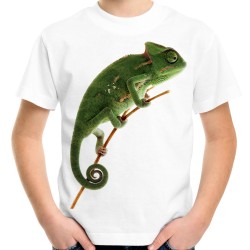 Koszulka kameleon gad dziecięca z nadrukiem motywem grafiką kameleona gada t-shirt