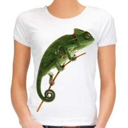Koszulka kameleon gad damska z nadrukiem motywem grafiką kameleona gada t-shirt