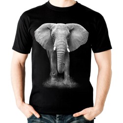 Koszulka ze słoniem dziecięca z nadrukiem motywem grafiką słonia t-shirt