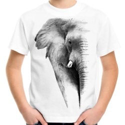 Koszulka dziecięca ze słoniem z nadrukiem grafiką motywem słonia t-shirt słoń
