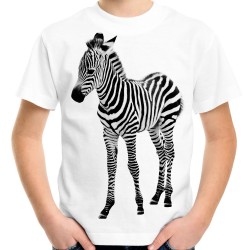 Koszulka z zebrą dla dziecka dziecięca z nadrukiem grafiką motywem zebry t-shirt