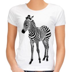 Koszulka z zebrą dla kobiety z nadrukiem motywem grafiką zebra w zebry t-shirt