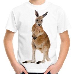 koszulka z kangurem dziecięca z nadrukiem motywem grafiką kangura t-shirt kangur na koszulce