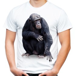 Koszulka z małpą szympansem z nadrukiem motywem grafiką małpy szympansa małpa szympans t-shirt homo sapiens