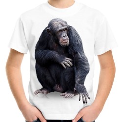 Koszulka z szympansem małpą dziecięca z nadrukiem motywem grafiką małpy szympansa t-shirt