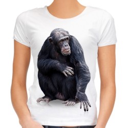 Koszulka z szympansem małpą damska szympans z grafiką nadrukiem motywem małpy szympansa t-shirt