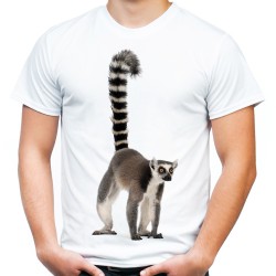 Koszulka z Lemurem męska z nadrukiem grafiką motywem lemura lemur na koszulce t-shirt