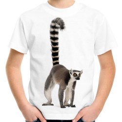 Koszulka z Lemurem dziecięca z nadrukiem grafiką motywem lemura lemur na koszulce t-shirt